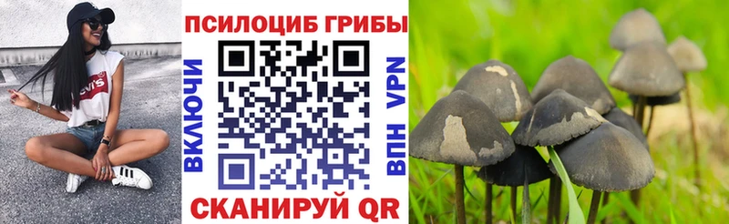 Псилоцибиновые грибы GOLDEN TEACHER  Муром 